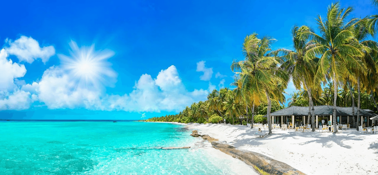 Votre compagnie de croisières préférée dans les Antilles et les Caraïbes